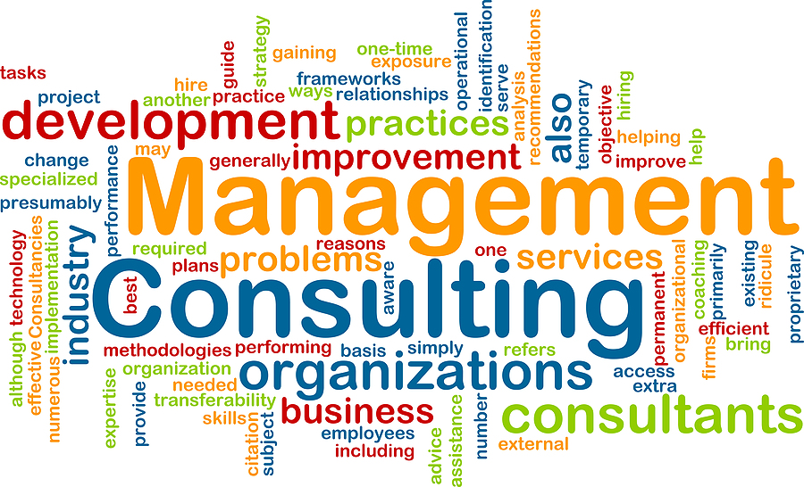 Business Management Consulting | Lucas Jubb